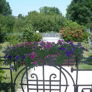 L'albero Della Gioia Bed & Breakfast
